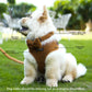 FurFlex Adjustable Neck Harness
