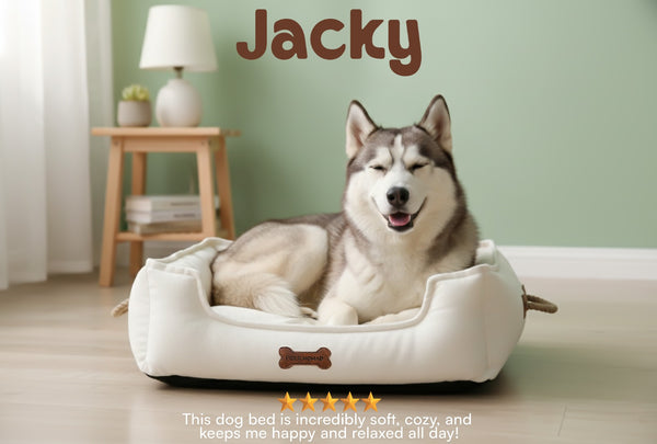 Customer review image